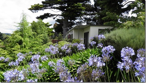 Tamar River Retreat - Darwin Holiday 5