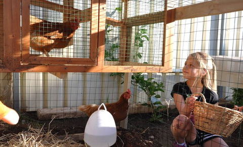 Vintners House - Darwin Holiday 2