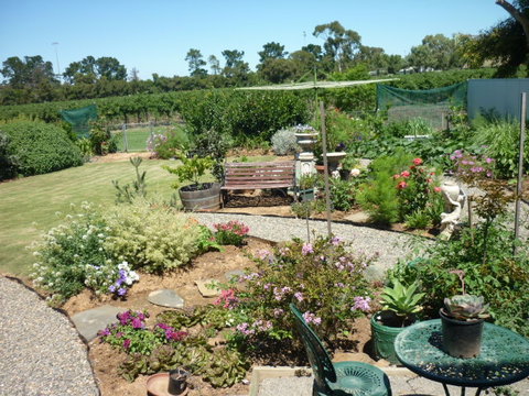 Cleggett Wines - Darwin Holiday 1