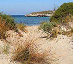 Marion Bay Caravan Park - Darwin Holiday 5