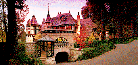 Thorngrove Manor - Darwin Holiday 0