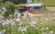 The Blue Grape Vineyard Accommodation - thumb 0