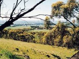 Smith's Farm Stay - Darwin Holiday 1