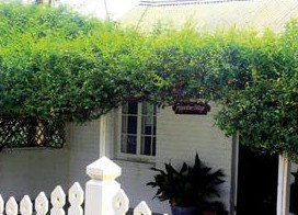 Peppertree Cottage Bed And Breakfast - Normanville - Darwin Holiday 1