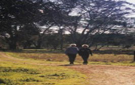 Tungali Cottage - Darwin Holiday 2