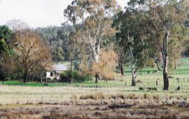 Tungali Cottage - Darwin Holiday 3