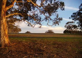 Mirrabooka Bed And Breakfast - Darwin Holiday 1