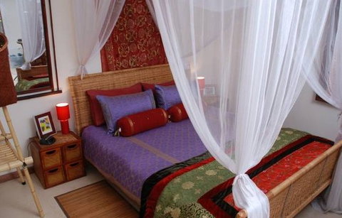 The Lotus Eater - Darwin Holiday 12