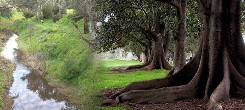 Rivergum Cottage - Darwin Holiday 0