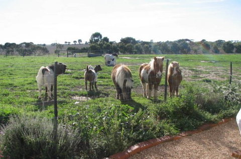 Redwing Shearer's Quarters - Darwin Holiday 1
