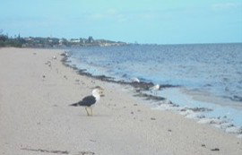 Tucked Away At Brownlow - Darwin Holiday 2