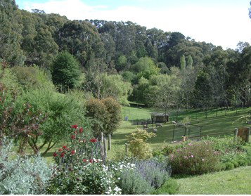 Lorikeet Lane B&B - Darwin Holiday 1