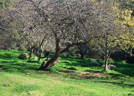 Sundance Bed And Breakfast - Darwin Holiday 3