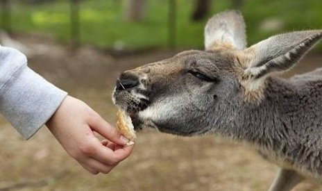 Watervale Retreat - Darwin Holiday 5