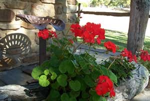 Adelaide Hills Country Cottages - Gum Tree Cottage - Darwin Holiday 3