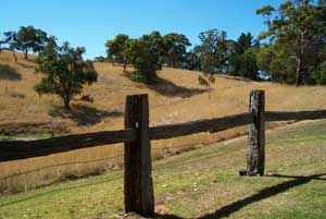 Adelaide Hills Country Cottages - Gum Tree Cottage - Darwin Holiday 4