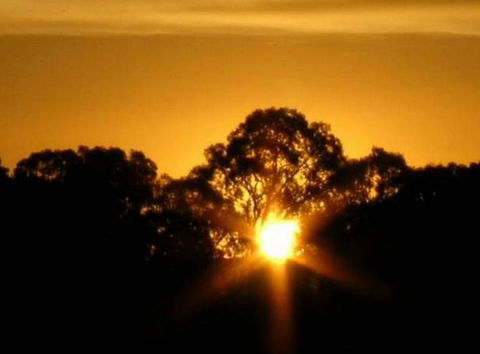 Linfield Cottage - Darwin Holiday 1