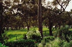 Mount Charmal Bed And Breakfast - Darwin Holiday 1