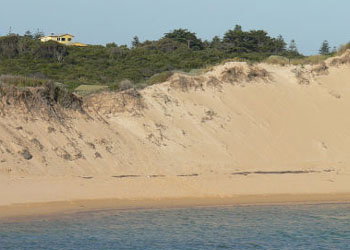 Ark Bed And Breakfast - Darwin Holiday 1