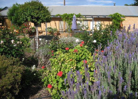 Peechabella Vineyards Bed & Breakfast - Darwin Holiday 3