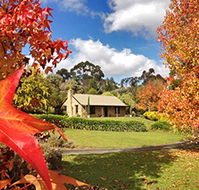 Adelaide Hills Country Cottages - Lavender Fields - Darwin Holiday
