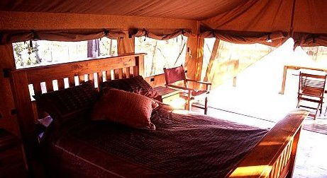Jabiru Safari Lodge At Mareeba Wetlands - Darwin Holiday 1