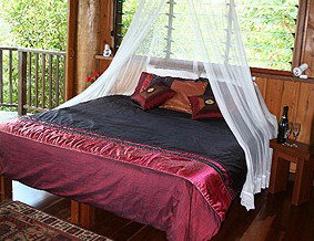 Rose Gums Wilderness Retreat - Darwin Holiday 2