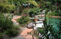 Galvins Edge Hill Bed And Breakfast - Darwin Holiday 5