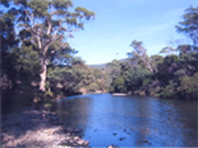 Douglas River Cabin - Darwin Holiday 0