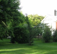 Oakdene Heritage Accommodation - Darwin Holiday