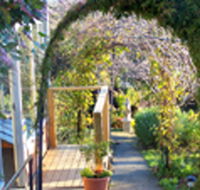 Penarth Haven - Darwin Holiday