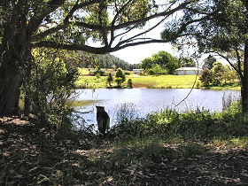 Newry Park Cottage - Darwin Holiday 0