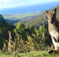 Rainbow Retreat Wilderness Eco Cabins - Darwin Holiday