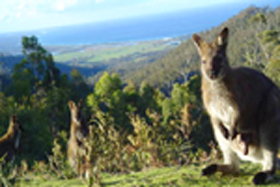 Rainbow Retreat Wilderness Eco Cabins - Darwin Holiday 0