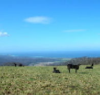 St Marys Seaview Farm - Darwin Holiday