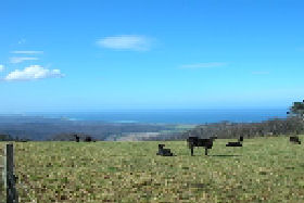 St Marys Seaview Farm - Darwin Holiday 0