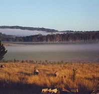 Fonthill - Darwin Holiday