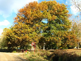 Red Rooster Host Farm - Darwin Holiday 0