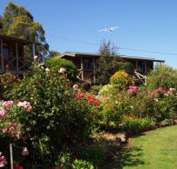 Mole Creek Holiday Village - Darwin Holiday
