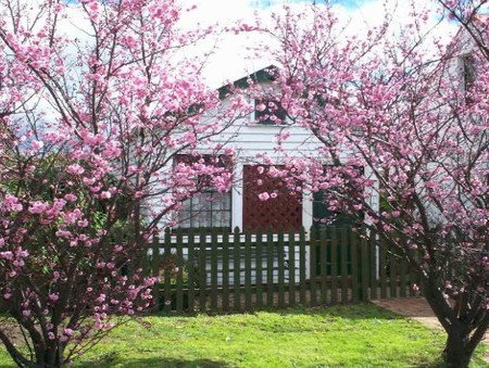 Sorell Barracks - Darwin Holiday 3