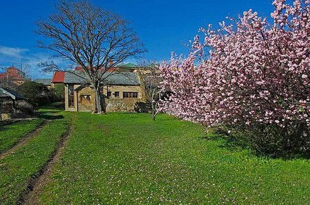 Forget-Me-Not Cottage - Darwin Holiday 3