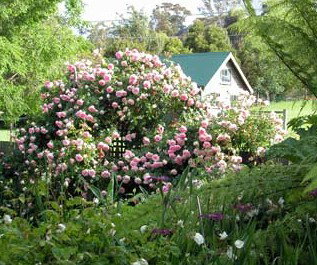 Conmel Cottage - Darwin Holiday 2