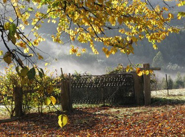 Red Rooster Host Farm - Darwin Holiday 2