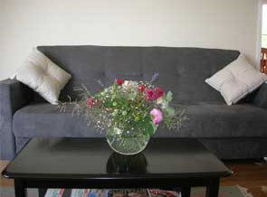 Arcadia Holiday House - Darwin Holiday 3