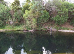 Douglas River Cabin - Darwin Holiday 4
