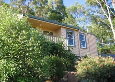 Protea Hill - Darwin Holiday 1