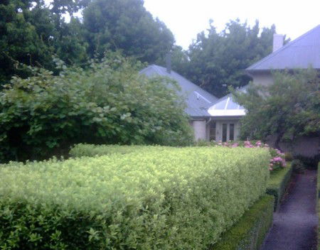 Old Wesleydale Heritage Accommodation - Darwin Holiday 3