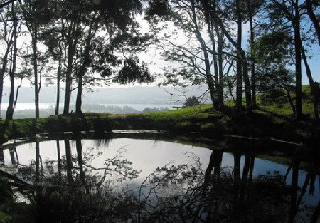 Camellia Cottage At Maple Hill - Darwin Holiday 2
