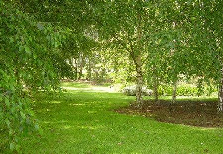 Camellia Cottage At Maple Hill - Darwin Holiday 3