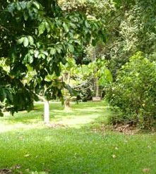 Kingfisher Park Birdwatchers Lodge - Darwin Holiday 0